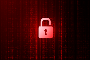 bosley data breach