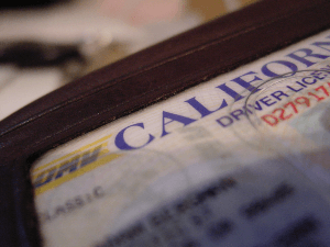 california driver's license