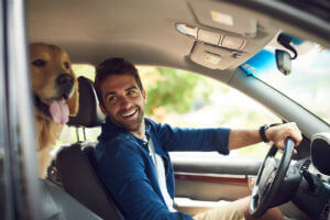 driving with pets