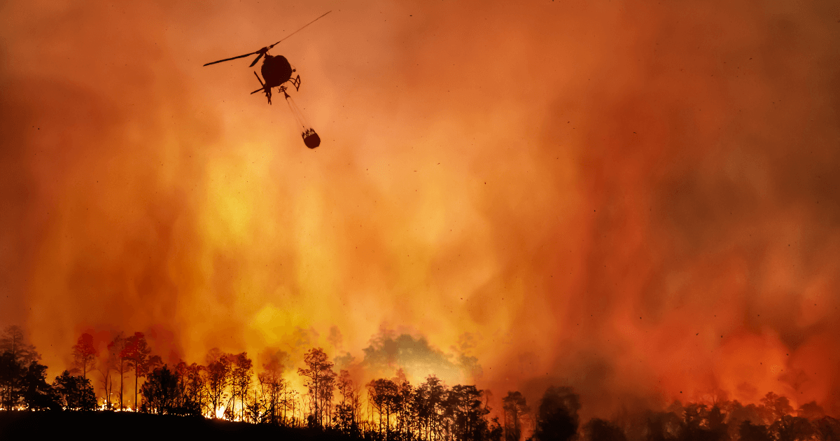 helicopter attempting to put out wildfire