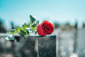 A single red rose on a gravestone in a cemetery.