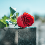 A single red rose on a gravestone in a cemetery.