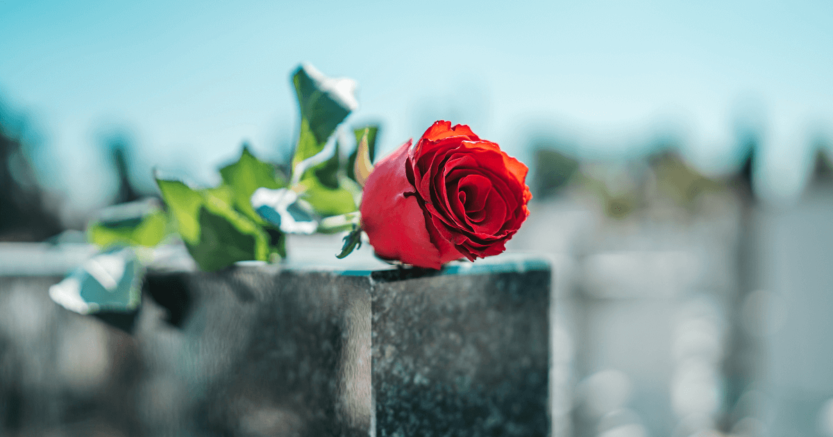 A single red rose on a gravestone in a cemetery.