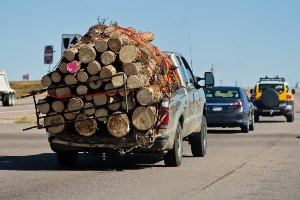 pickup truck loaded with logs