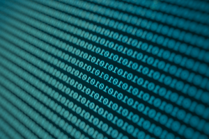 Blue Shield data breach 