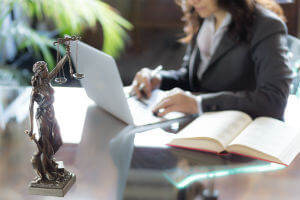 lawyer studying a case