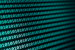 Savory Spice data breach