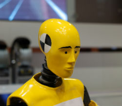 crash test dummy